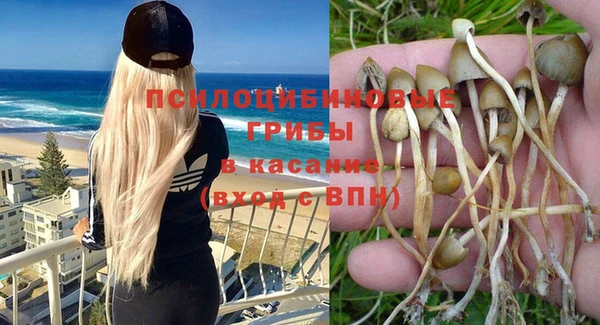МДПВ Алексеевка