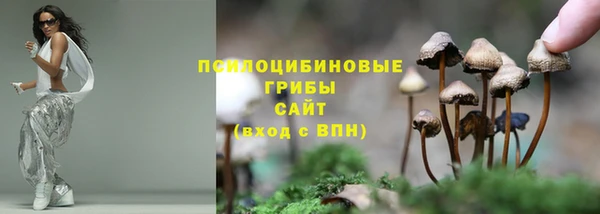 МДПВ Алексеевка