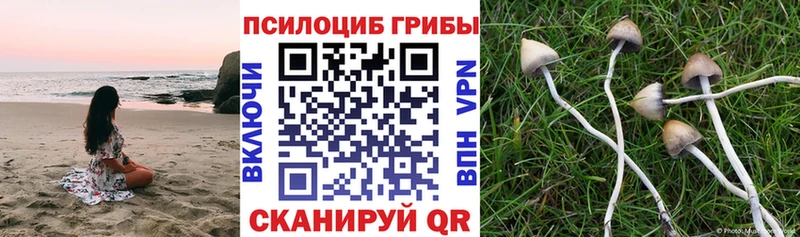 Галлюциногенные грибы GOLDEN TEACHER  Купить закладки  Геленджик 